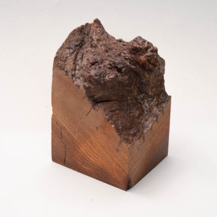 mp311 fruitwood textured miniature display plinth