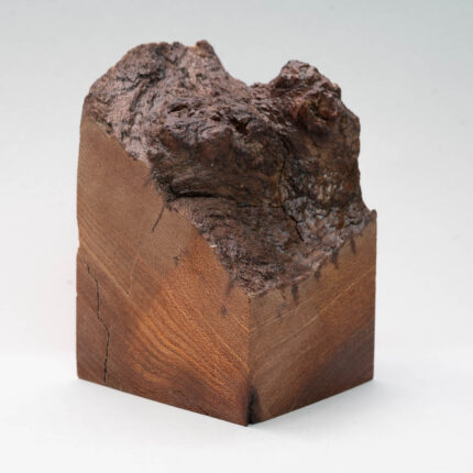 mp311 fruitwood textured miniature display plinth
