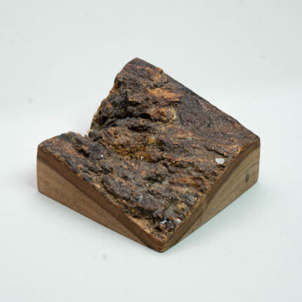 mp324 olivewood miniature display plinth-7