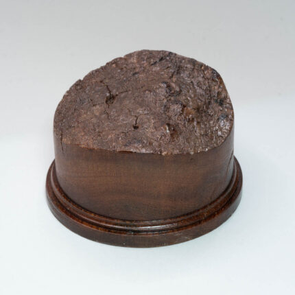 mp344 elm miniature display plinth-5