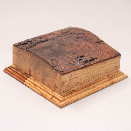 mp359 spalted beech textured miniature display plinth-7