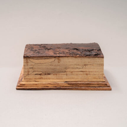 mp359 spalted beech textured miniature display plinth-7